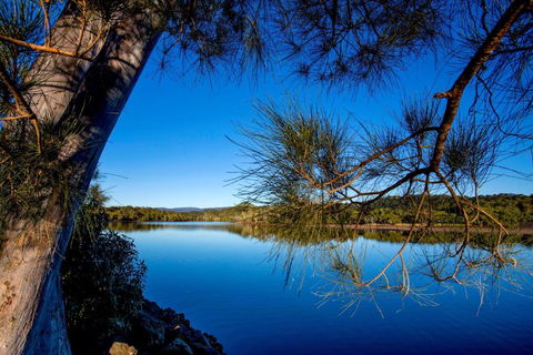 Reflections Ferry Reserve - Holiday Park - Nambucca Heads Accommodation 2