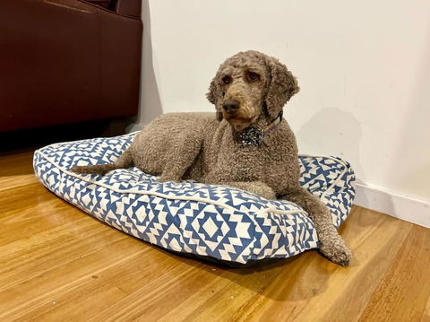 Relax And Reconnect At MaluaBay - Nambucca Heads Accommodation 1