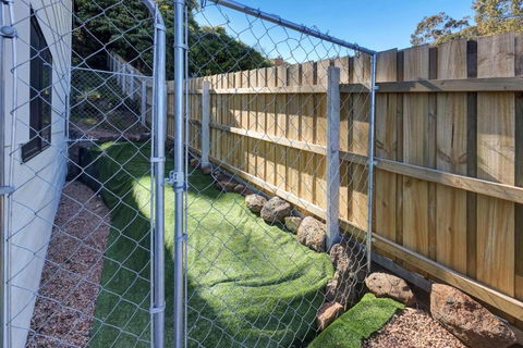 Robin Wood - Nambucca Heads Accommodation 2