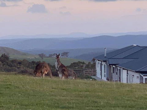 Rooks Edge - Nambucca Heads Accommodation 0