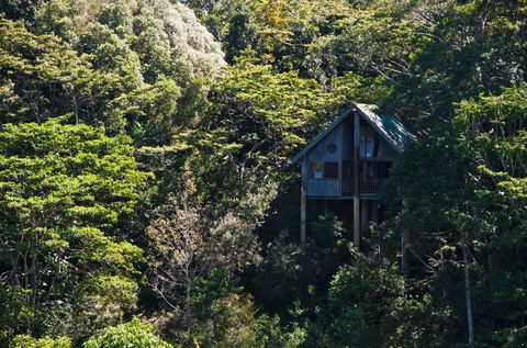 Rose Gums Wilderness Retreat - Nambucca Heads Accommodation 1