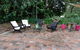 Rustic Retreat - thumb 1