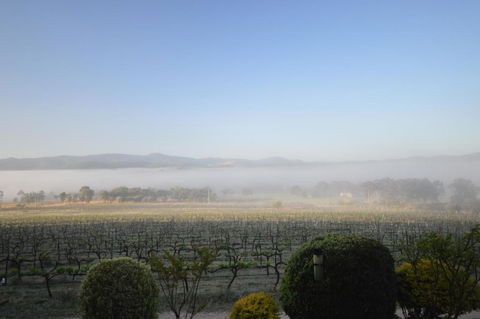 Sancerre Estate - Nambucca Heads Accommodation 3