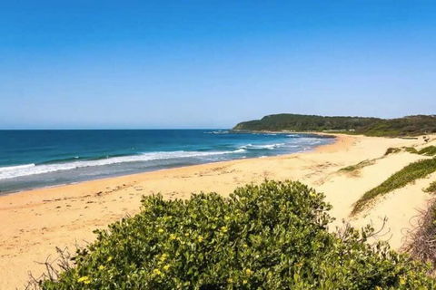 Shelly Beach Seaside Studio B - Nambucca Heads Accommodation 1