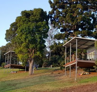 Beechmont Bean Cabins - Nambucca Heads Accommodation