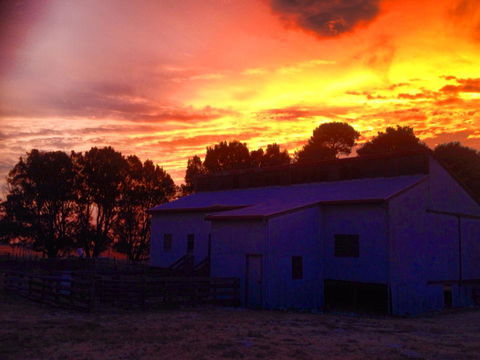 Beggs Farmstay B&B - Nambucca Heads Accommodation 1