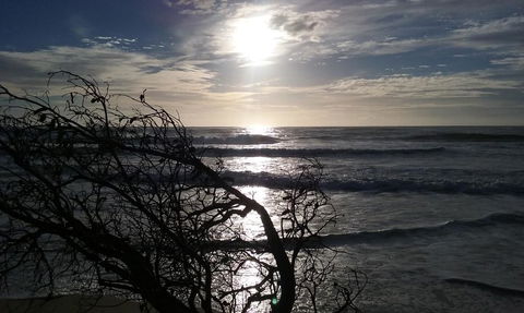 BIG4 Nambucca Beach Holiday Park - Nambucca Heads Accommodation 3