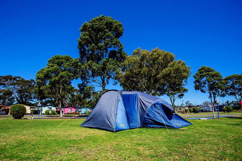 BIG4 Traralgon Park Lane Holiday Park - Nambucca Heads Accommodation 2