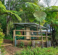 Binna Burra Rainforest Campsite - Nambucca Heads Accommodation
