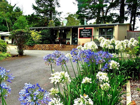 Blackheath Motor Inn - Nambucca Heads Accommodation 0