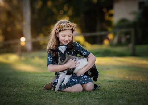 Blackwattle Farm - Nambucca Heads Accommodation 1