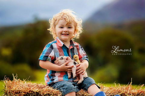 Blackwattle Farm - Nambucca Heads Accommodation 0