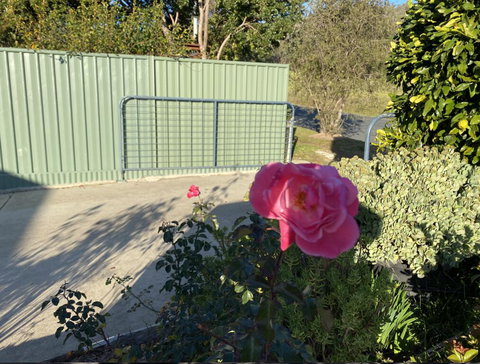 Blue Manor On Fairway - Nambucca Heads Accommodation 2