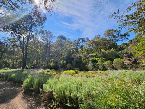 The Lavender Patch - Nambucca Heads Accommodation 2