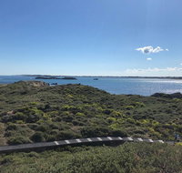 Penguin Island And Fremantle - Canoe Chocolate  Coffee - Nambucca Heads Accommodation
