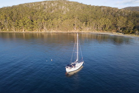 Twilight Sail Bruny Island - Nambucca Heads Accommodation 3