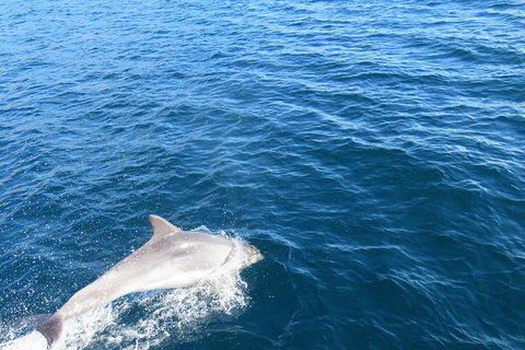 Twilight Sail Bruny Island - Nambucca Heads Accommodation 5