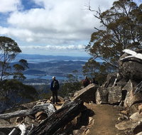 kunanyi / Mt Wellington Explorer Bus - 2 Hour Return Tour - Nambucca Heads Accommodation