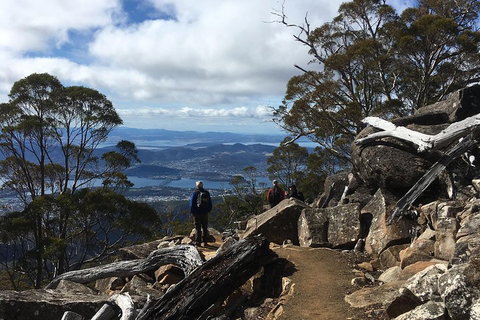 Kunanyi / Mt Wellington Explorer Bus - 2 Hour Return Tour - Nambucca Heads Accommodation 0