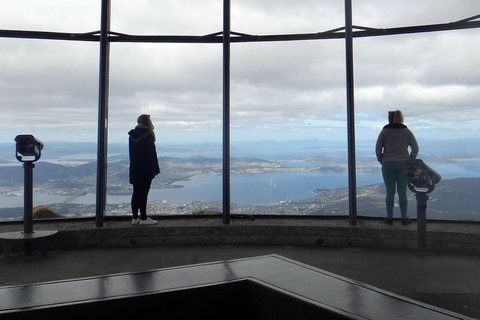 Kunanyi / Mt Wellington Explorer Bus - 2 Hour Return Tour - Nambucca Heads Accommodation 1