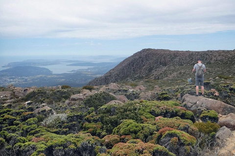 Kunanyi / Mt Wellington Explorer Bus - 2 Hour Return Tour - Nambucca Heads Accommodation 3