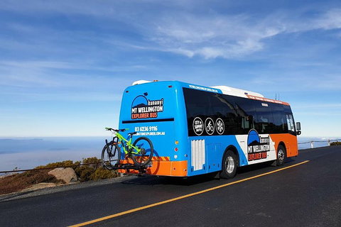 Kunanyi / Mt Wellington Explorer Bus - 2 Hour Return Tour - Nambucca Heads Accommodation 4