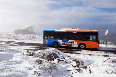 Kunanyi/Mt Wellington Tour & Hobart Hop-On Hop-Off Bus - Nambucca Heads Accommodation 2