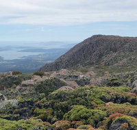 kunanyi/Mt Wellington Explorer Bus - One Way Tour - Nambucca Heads Accommodation