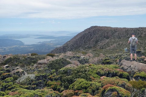 Kunanyi/Mt Wellington Explorer Bus - One Way Tour - Nambucca Heads Accommodation 0