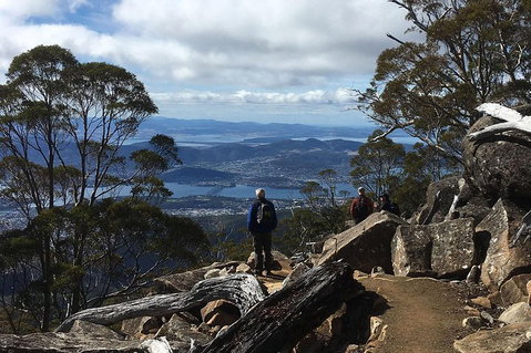 Kunanyi/Mt Wellington Explorer Bus - One Way Tour - Nambucca Heads Accommodation 2