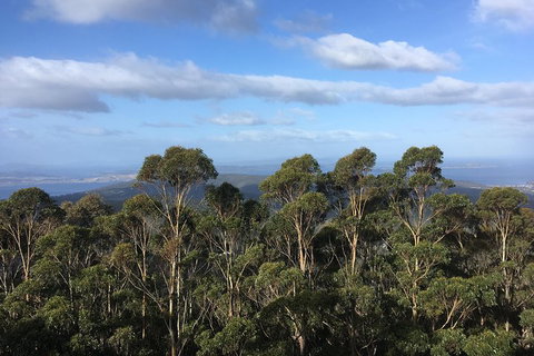 Kunanyi/Mt Wellington Explorer Bus - One Way Tour - Nambucca Heads Accommodation 5