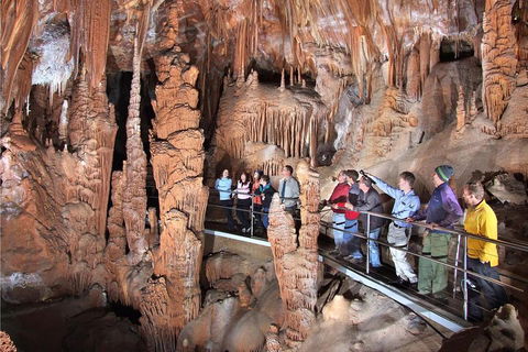 Private Tour: Jenolan Caves & Blue Mountains In A Day - Nambucca Heads Accommodation 0