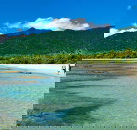 5-Day Best of Cairns with Daintree Kuranda and Great Barrier Reef - Nambucca Heads Accommodation