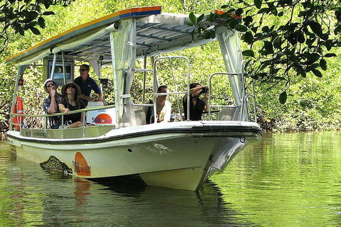 5-Day Best Of Cairns With Daintree, Kuranda, And Great Barrier Reef - Nambucca Heads Accommodation 1
