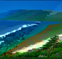 Cairns Reef and Rainforest Combo Daintree Rainforest and the Great Barrier Reef - Nambucca Heads Accommodation