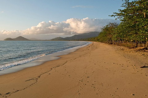 Cairns Reef And Rainforest Combo: Daintree Rainforest And The Great Barrier Reef - Nambucca Heads Accommodation 4