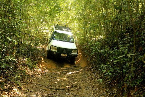 Barron Gorge And Kuranda National Park Half Day Rainforest And Waterfall 4WD Tour From Cairns - Nambucca Heads Accommodation 2