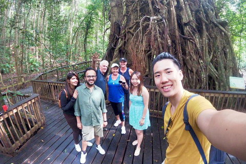 Barron Gorge And Kuranda National Park Half Day Rainforest And Waterfall 4WD Tour From Cairns - Nambucca Heads Accommodation 5