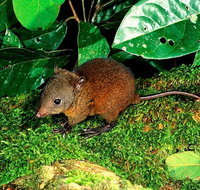 3-Day Small-Group Tour of North Queensland with Pick Up - Nambucca Heads Accommodation