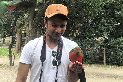 Full-Day Great Ocean Road Small-Group Tour From Melbourne - Nambucca Heads Accommodation 0