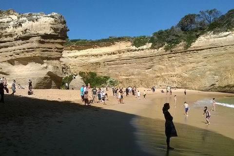 Great Ocean Road Full Day Private Experience - Nambucca Heads Accommodation 3