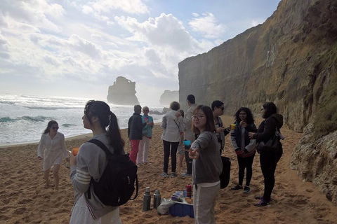 Great Ocean Road Full Day Private Experience - Nambucca Heads Accommodation 4