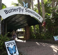 Kuranda Day Trip from Port Douglas upgrade to Skyrail  Scenic train available - Nambucca Heads Accommodation
