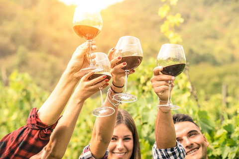 McLaren Vale Luxury Wine Tour - Nambucca Heads Accommodation 2