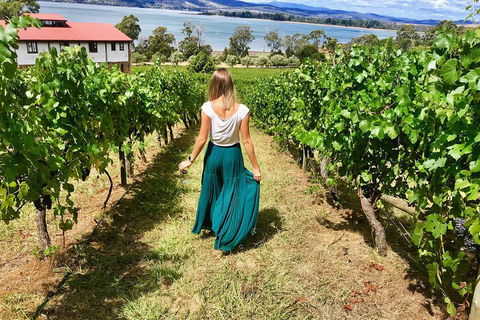Tamar Valley Wine Tour With Lunch - Nambucca Heads Accommodation 2