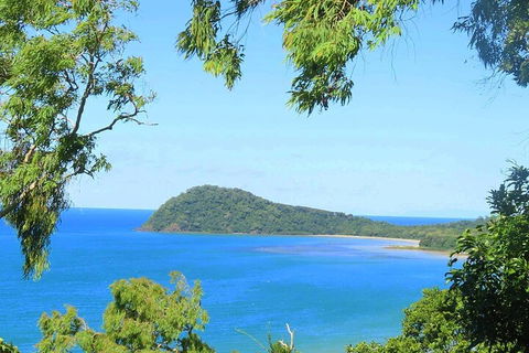 Full Day Tour In The Daintree - Nambucca Heads Accommodation 1