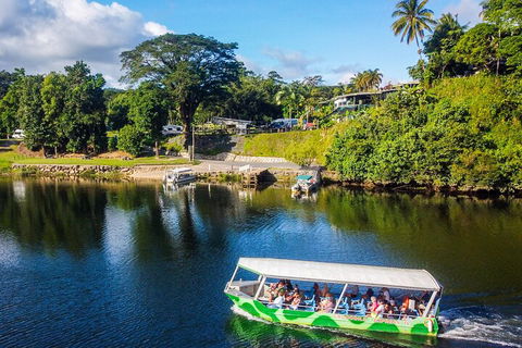 Full Day Tour In The Daintree - Nambucca Heads Accommodation 2