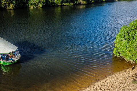 Afternoon Half-Day Daintree Rainforest And River Tour - Nambucca Heads Accommodation 3