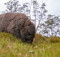 3-Day Cradle Mountain Photography Workshop - Nambucca Heads Accommodation