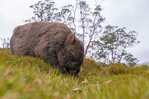 3-Day Cradle Mountain Photography Workshop - Nambucca Heads Accommodation 0